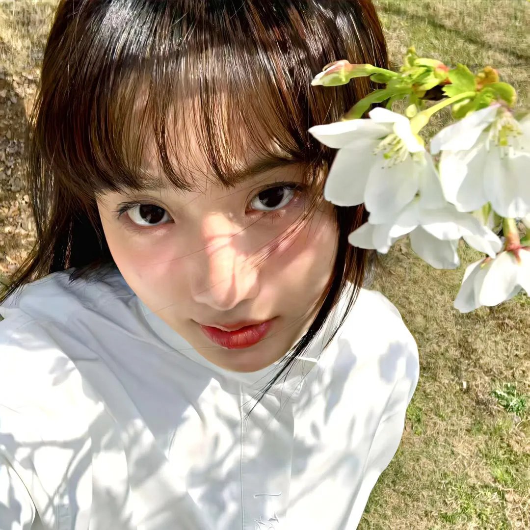 大马帮 在线观看