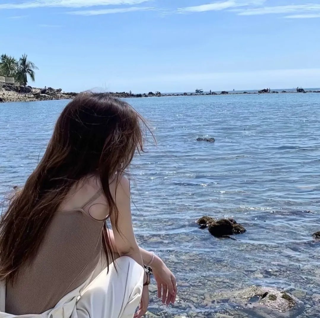 白莲花 在线观看