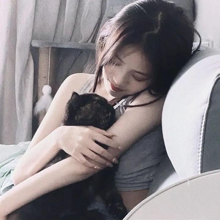 智理想情人 热门排行
